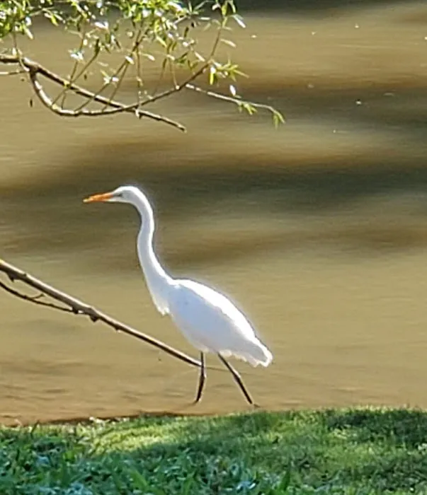River Front Family Campground Picture 3