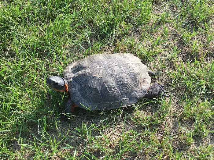 RIVERBANK CAMPGROUND AND COTTAGE RENTAL Picture 8