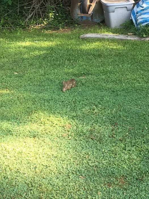 RIVERBANK CAMPGROUND AND COTTAGE RENTAL Picture 7