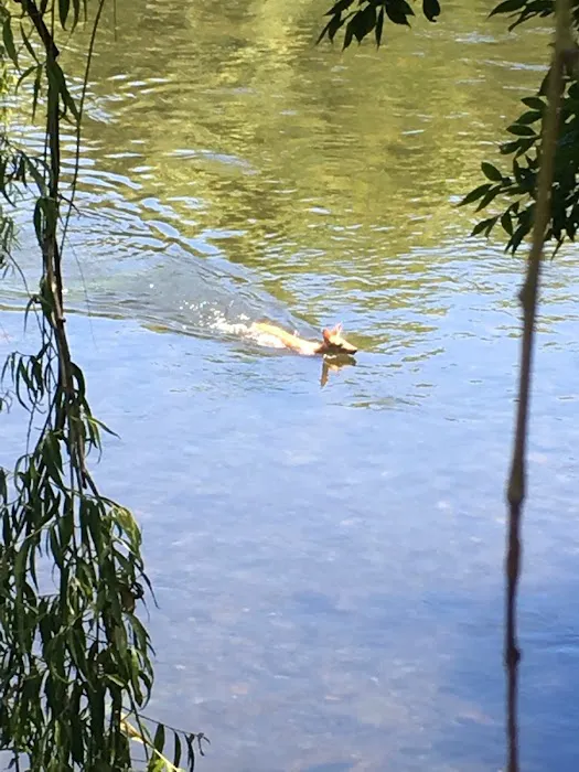 RIVERBANK CAMPGROUND AND COTTAGE RENTAL Picture 9