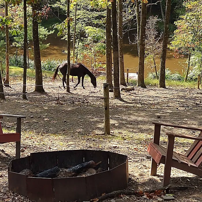 Urban Saddle Ranch Picture 4