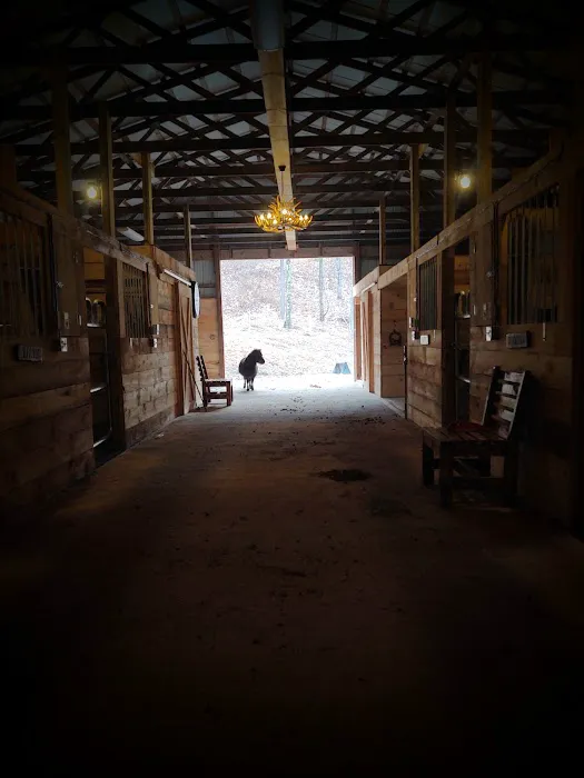 Urban Saddle Ranch Picture 8