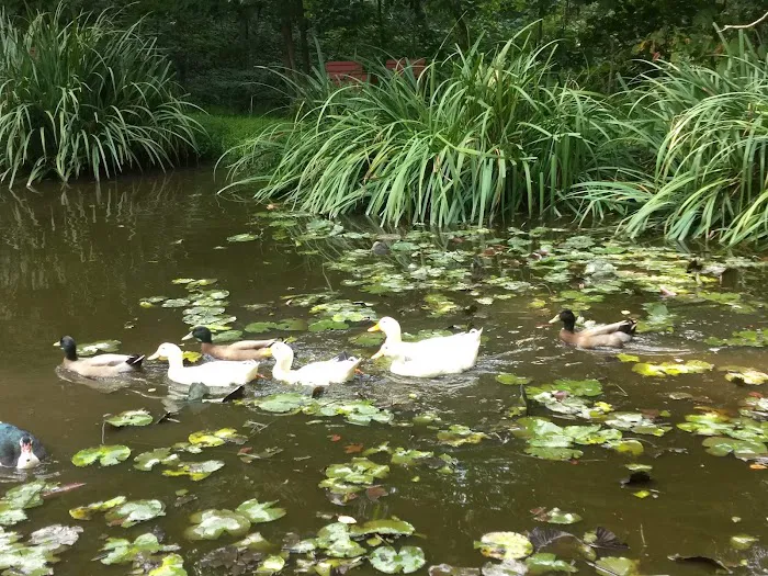 Urban Saddle Ranch Picture 1