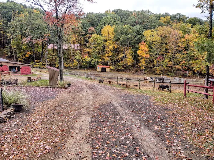 Urban Saddle Ranch Picture 7
