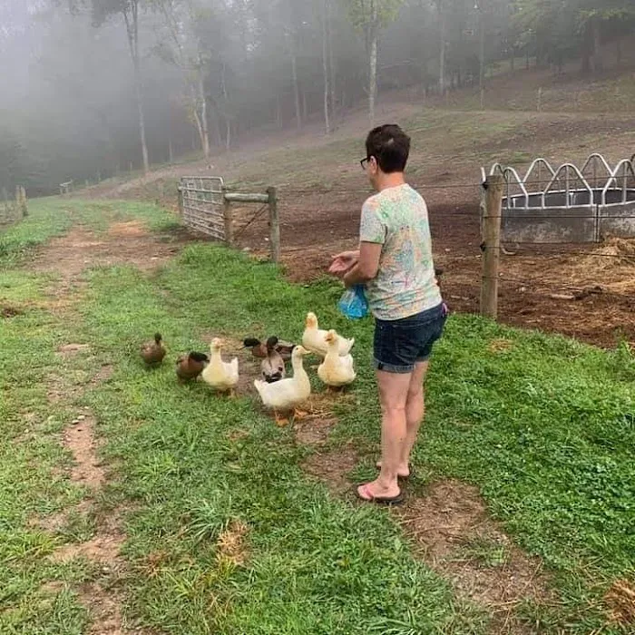 Urban Saddle Ranch Picture 3