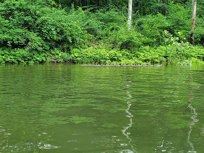 Branch Campground Picture 10