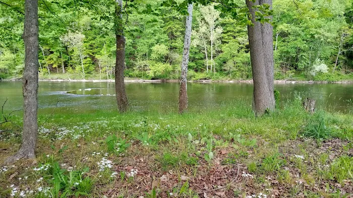 Branch Campground Picture 8