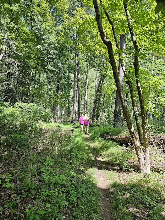 Branch Campground Picture 5