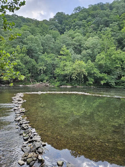 Branch Campground Picture 3