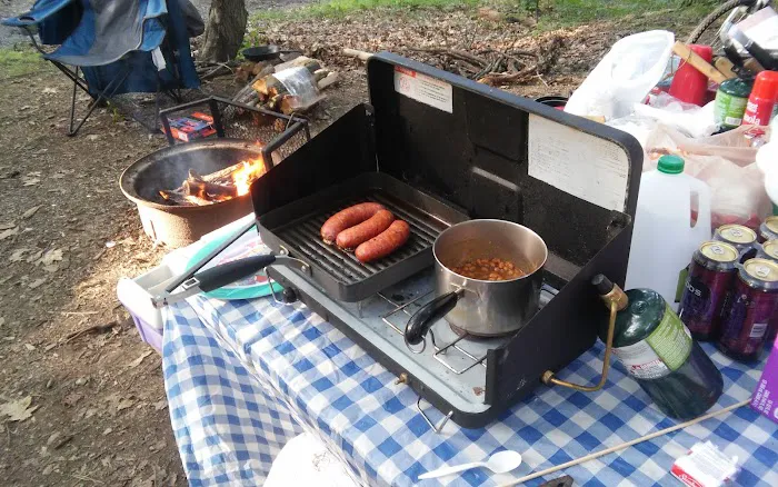 Honey Bear Campground Picture 3