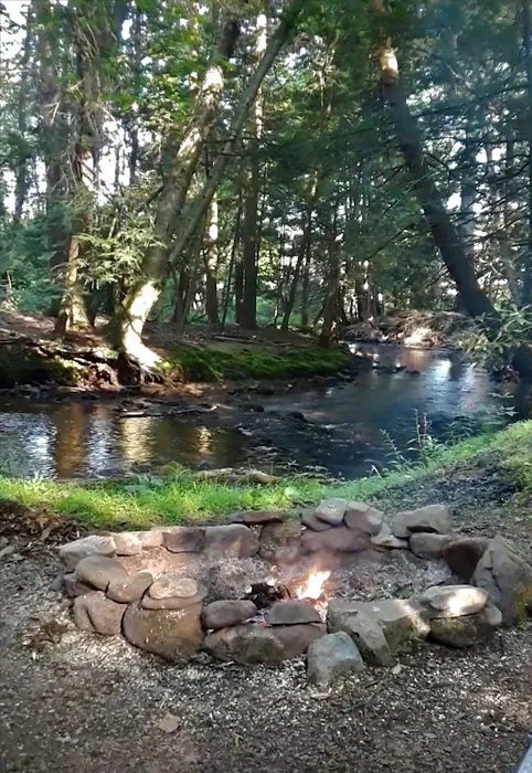 Bald Eagle Campsite Picture 10