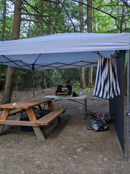 Bald Eagle Campsite Picture 5