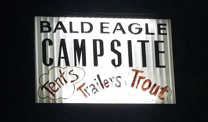Bald Eagle Campsite Picture 9