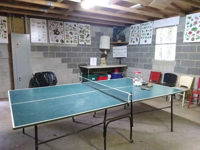 Bald Eagle Campsite Picture 4