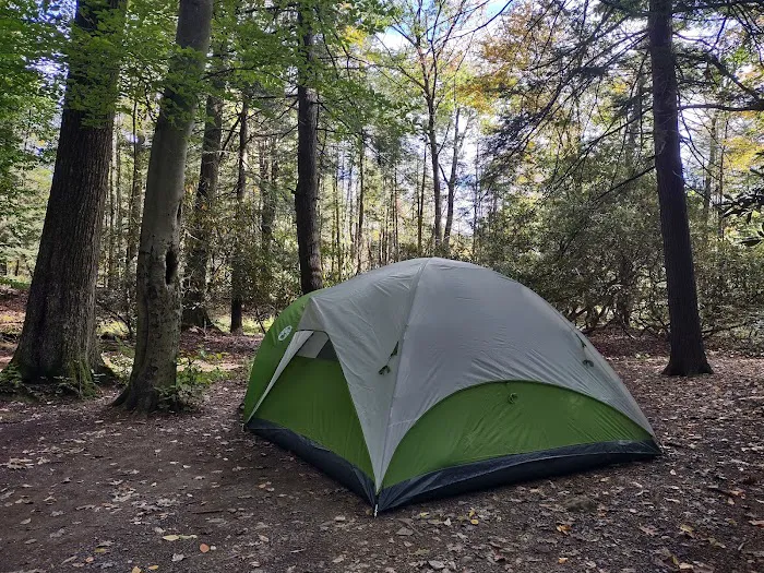 Bald Eagle Campsite Picture 8