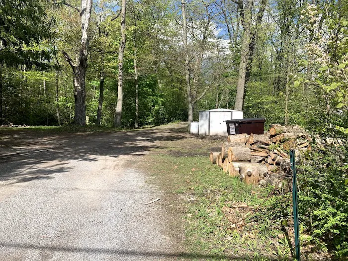 Bald Eagle Campsite Picture 1