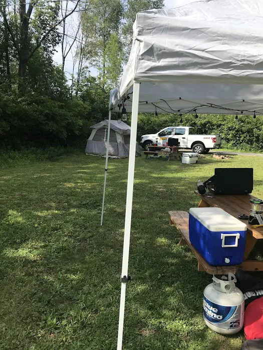 Bald Eagle Campsite Picture 3