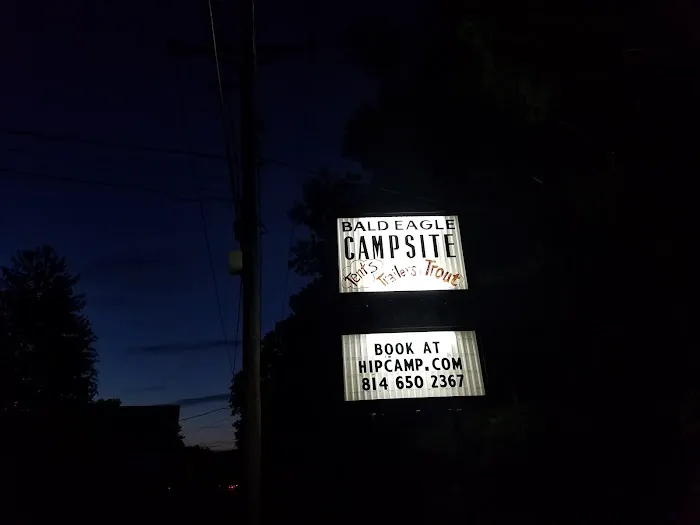 Bald Eagle Campsite Picture 7