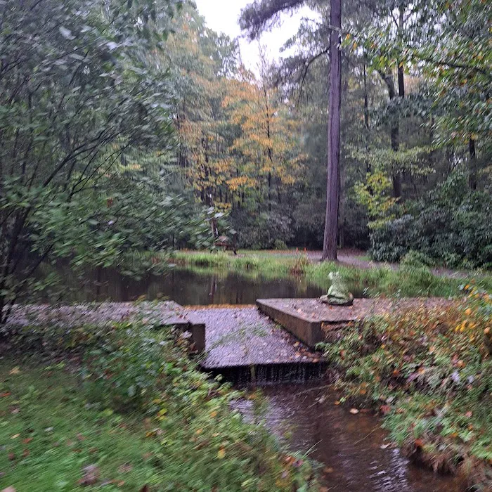 Bald Eagle Campsite Picture 6