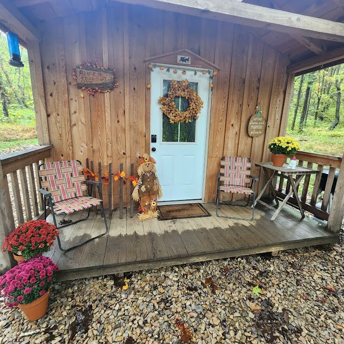 Rivers Edge Cabin Airbnb Picture 3