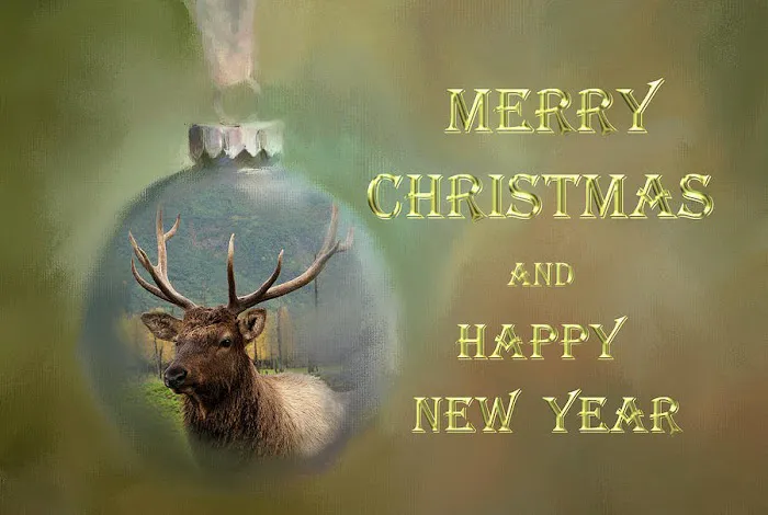 Rock Hill Cabins Picture 2