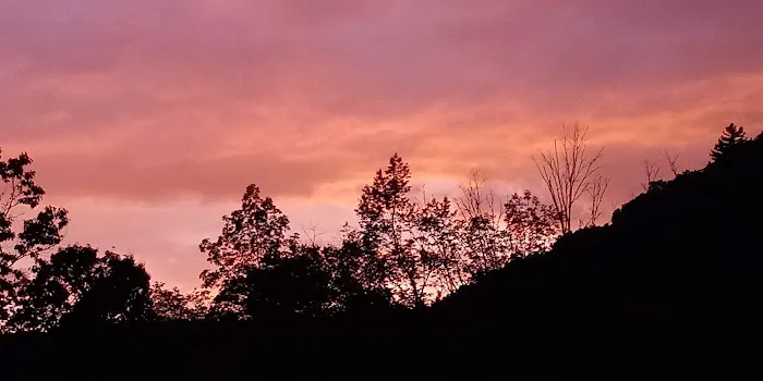 Benezett Store Campground Picture 7