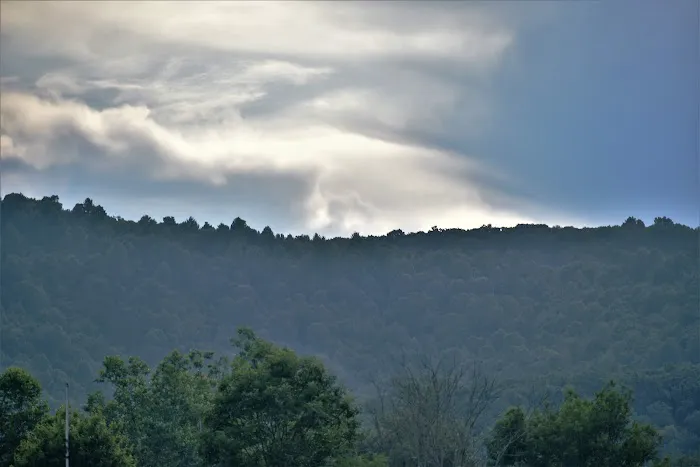 Benezett Store Campground Picture 9