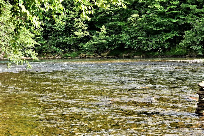 Benezett Store Campground Picture 6