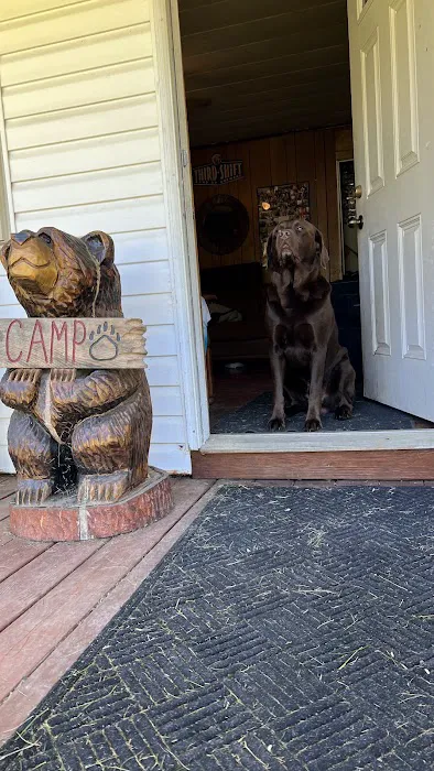 Camp Elkaholic Picture 4