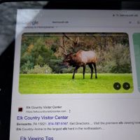 B-Bar-M Campground, LLC ico