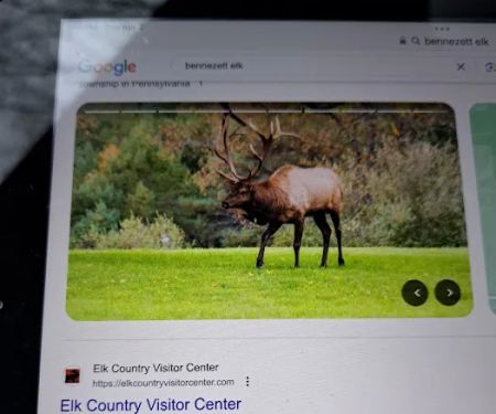 B-Bar-M Campground, LLC