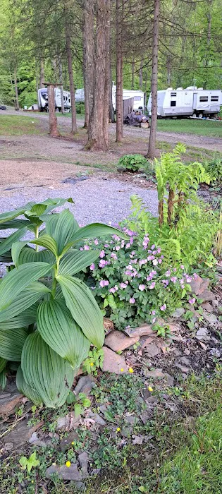 B-Bar-M Campground, LLC Picture 4