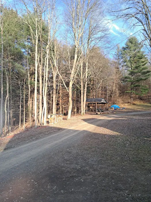 B-Bar-M Campground, LLC Picture 7