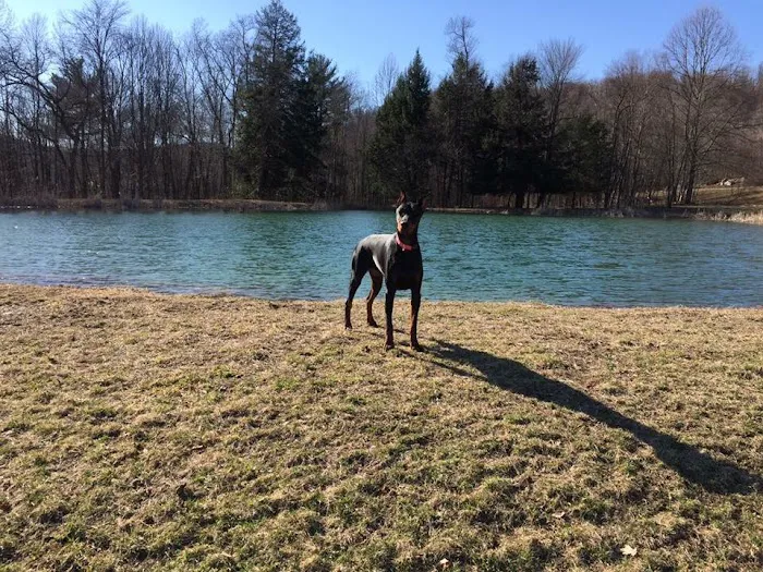 Lumber City RV Park Picture 7