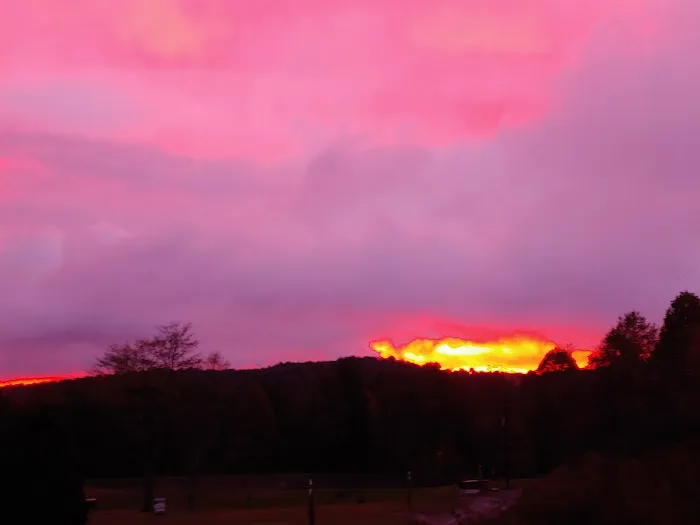 Lumber City RV Park Picture 5