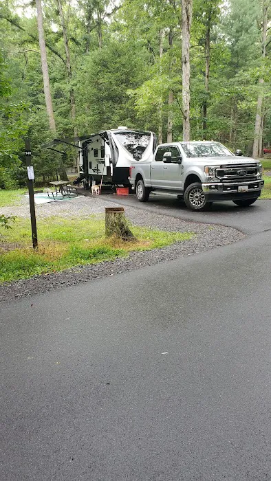 Hosack Run Campground Picture 4