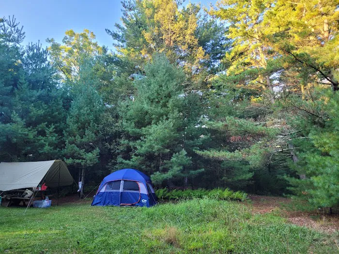 Primitive Campsite #12 Picture 4