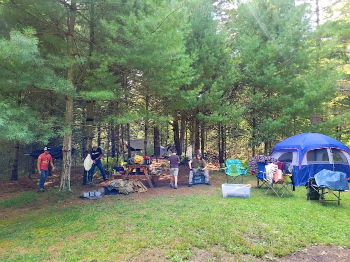 Primitive Campsite #12 Picture 7