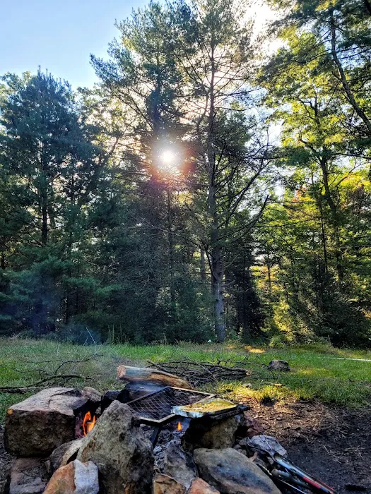 Primitive Campsite #12 Picture 9