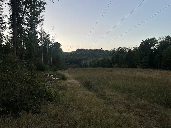 Primitive Campsite #12 Picture 1