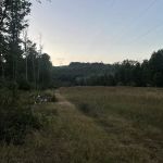 Primitive Campsite #12