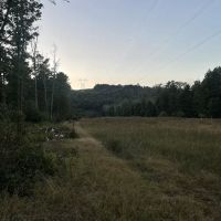 Primitive Campsite #12 ico