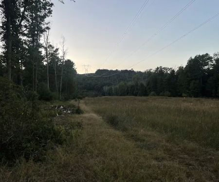 Primitive Campsite #12