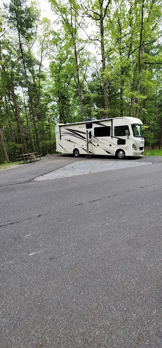 Chinquapin Hill Campground Picture 5