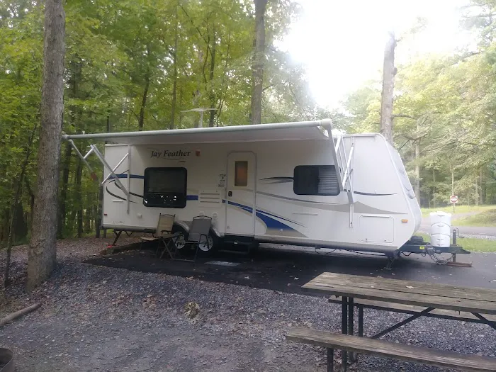 Chinquapin Hill Campground Picture 2