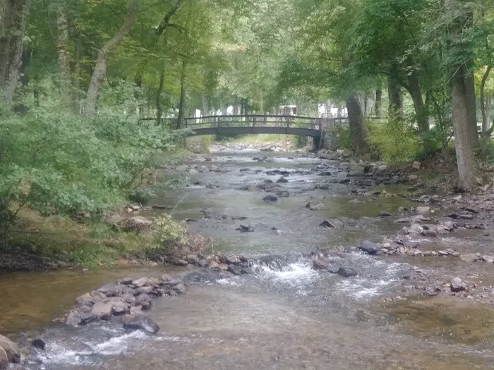 Chinquapin Hill Campground Picture 4