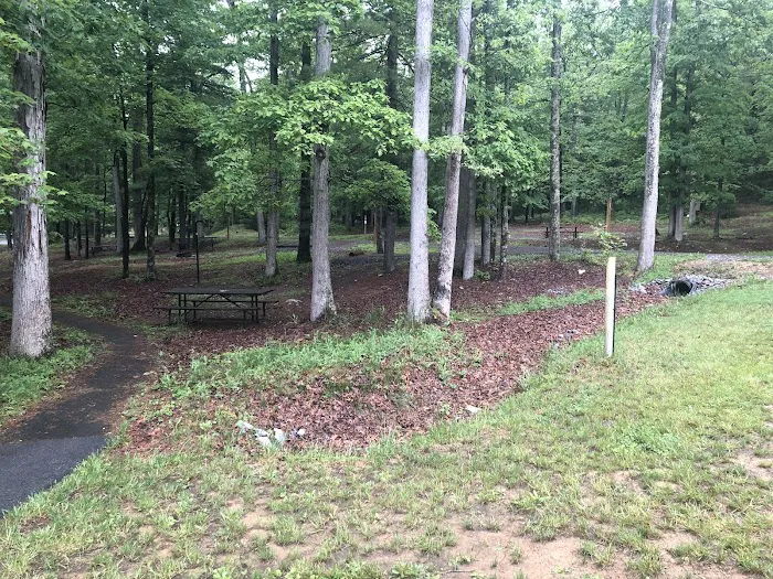 Chinquapin Hill Campground Picture 9