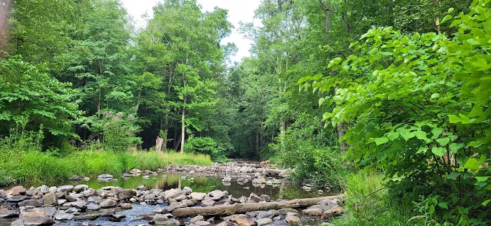 Chinquapin Hill Campground Picture 1