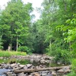 Chinquapin Hill Campground