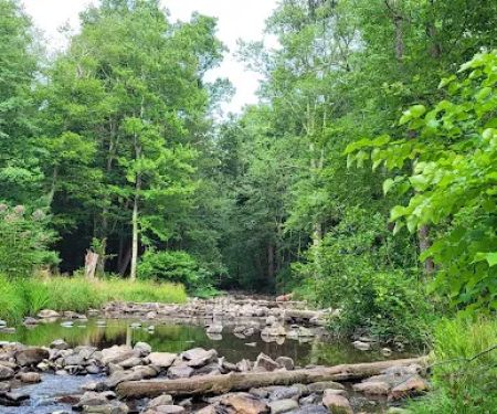 Chinquapin Hill Campground